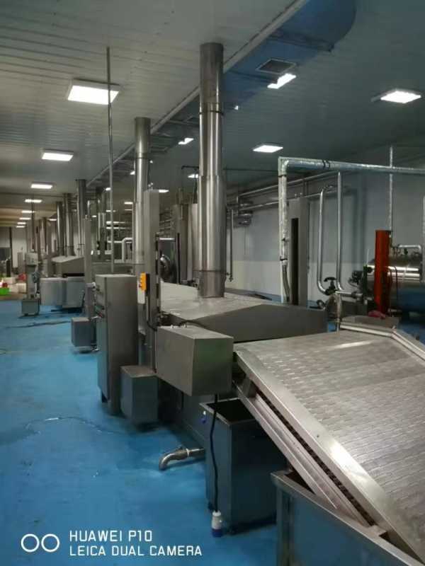 虎皮千张薄脆加工，可定制油炸设备(3)